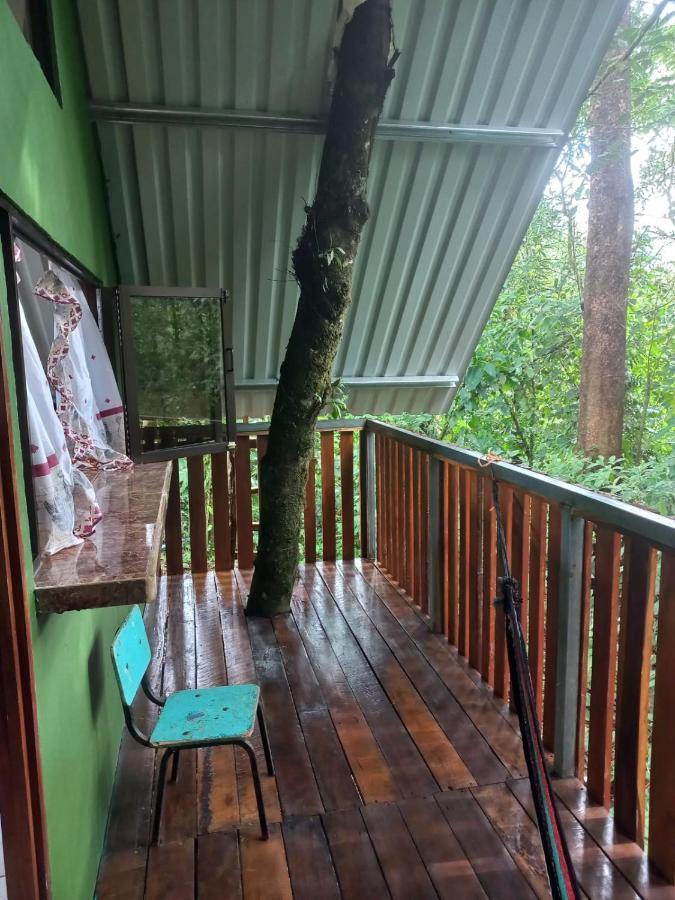 Cabana Escondida Rio Celeste San Rafael De Guatuso Dış mekan fotoğraf